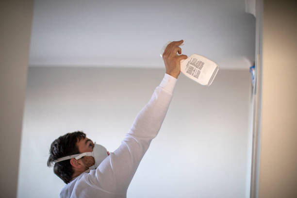 Best Same-Day Mold Removal  in Mayflower Village, CA
