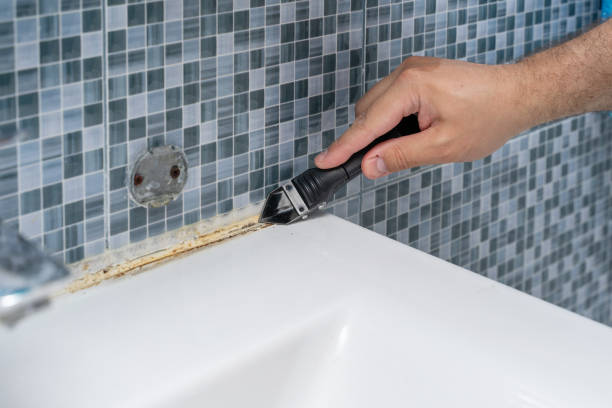 Mold Removal and Inspection in Mayflower Village, CA
